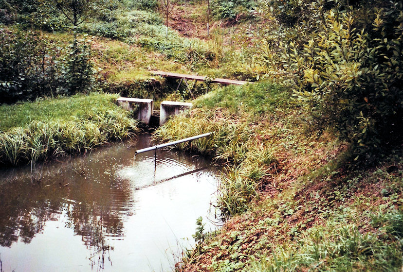 studánka U Haltýře (3747)