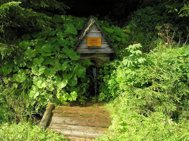Tetřeví studánka (3764)