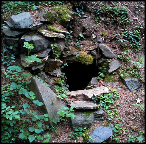 studánka bez jména (3768)