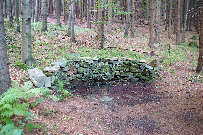 studánka Jedlový pramen (3772)