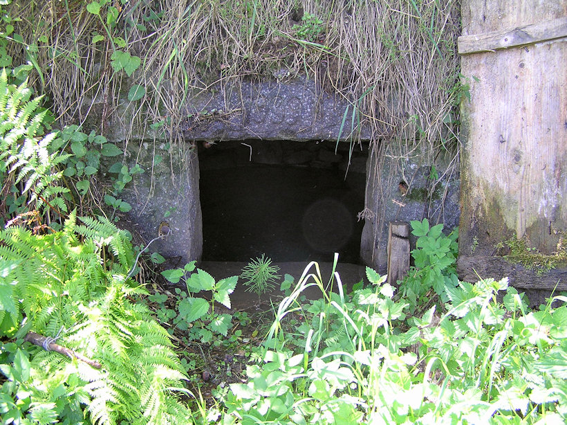 Mladotická studánka (3773)