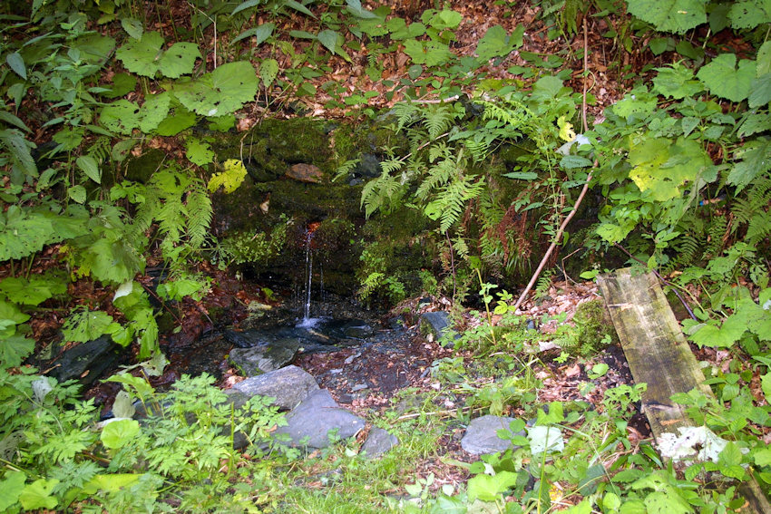 studánka Mariin pramen (3774)