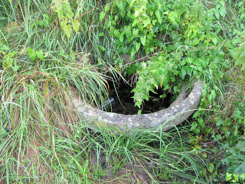 studánka V Zahrádkách (3777)