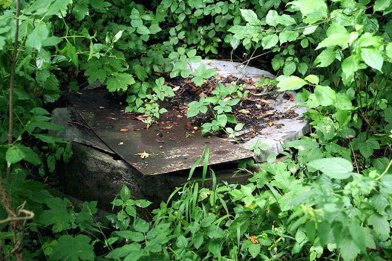 studna U Cihelny (3782)