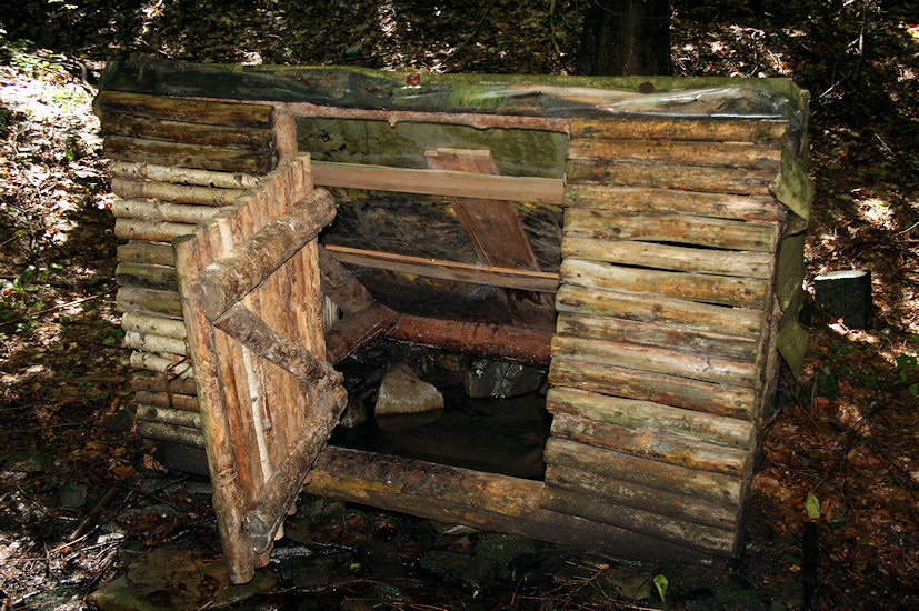 studánka U osady Grizzly (3785)