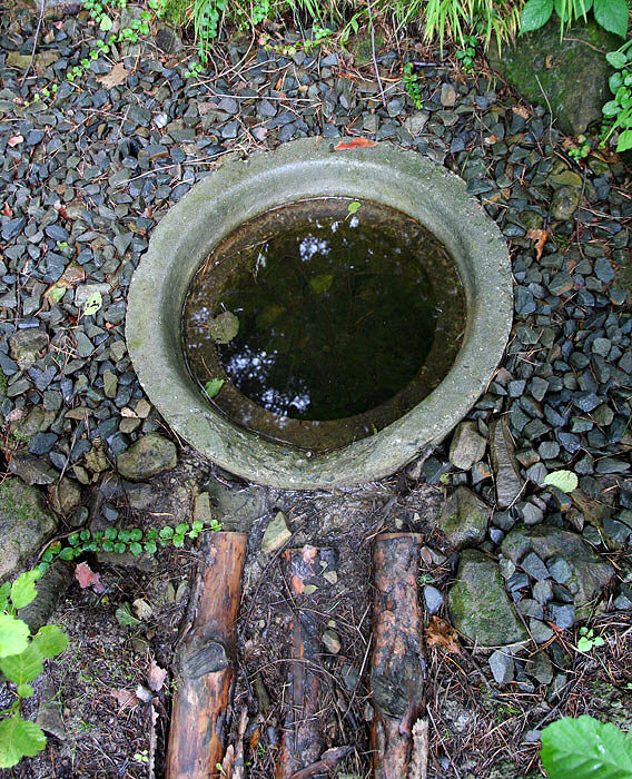 studánka Na Pulčínské cestě II (3786)
