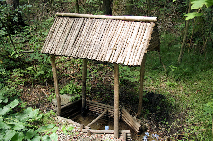 studánka U Divokého potoka (3787)