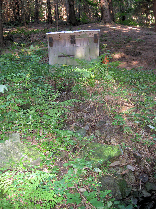studánka Přední Nytrová (3797)