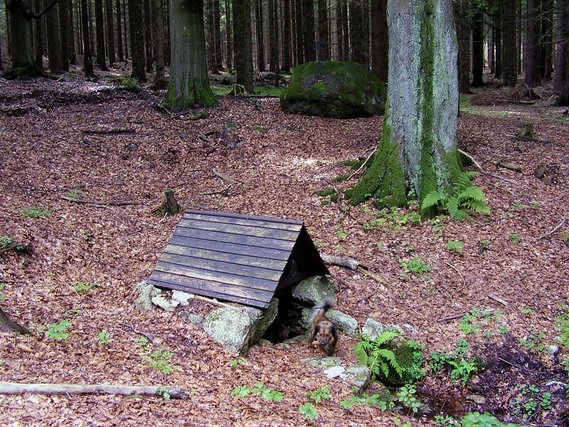 studánka Vlasta (3802)