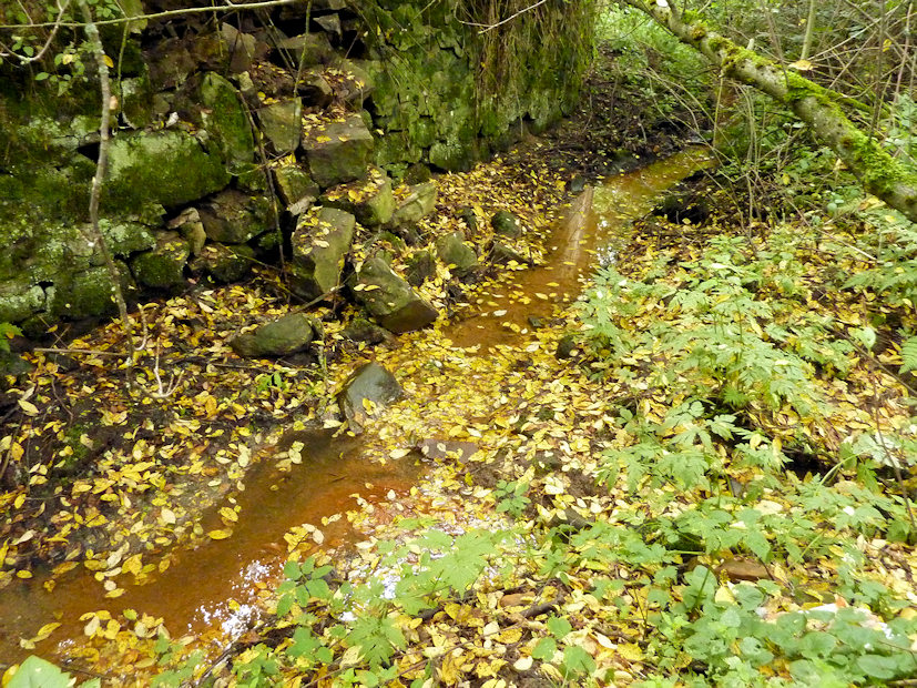pramen Mlýnská kyselka (3807)