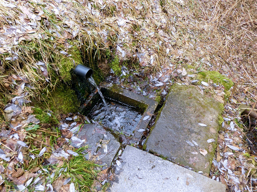 studánka Martínek (3808)