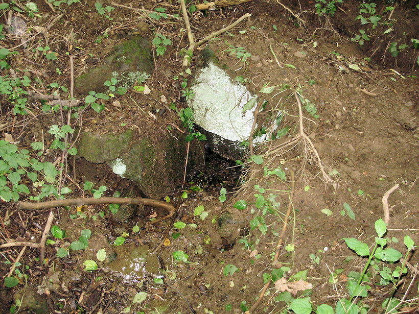 studánka bez jména (3812)