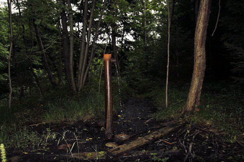 studánka Železitá (3838)