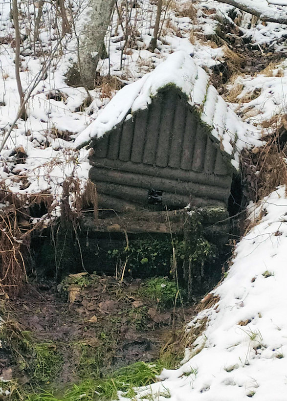 studánka Čeňkova Pila (3845)