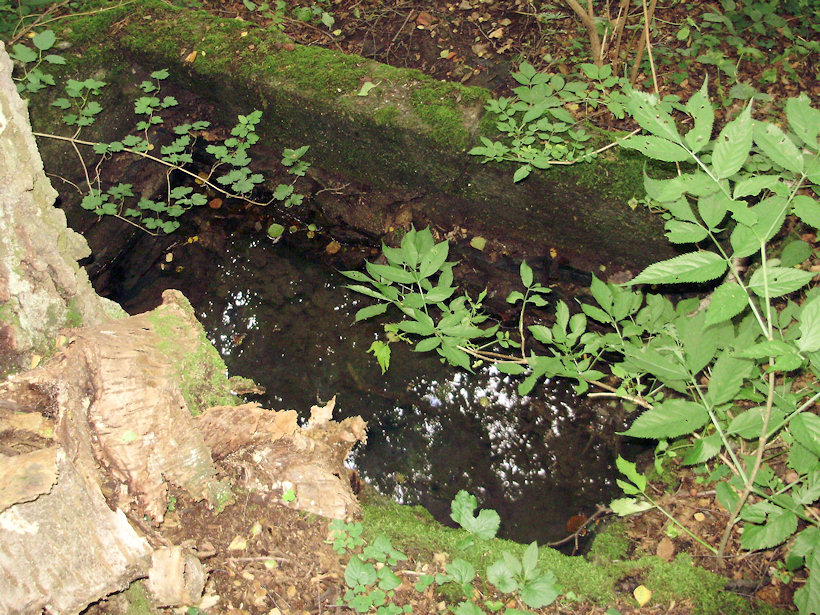 studánka Pod Suchou (3863)