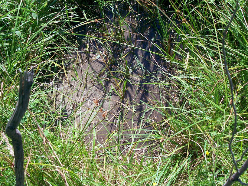 studánka Na Durajce (3870)