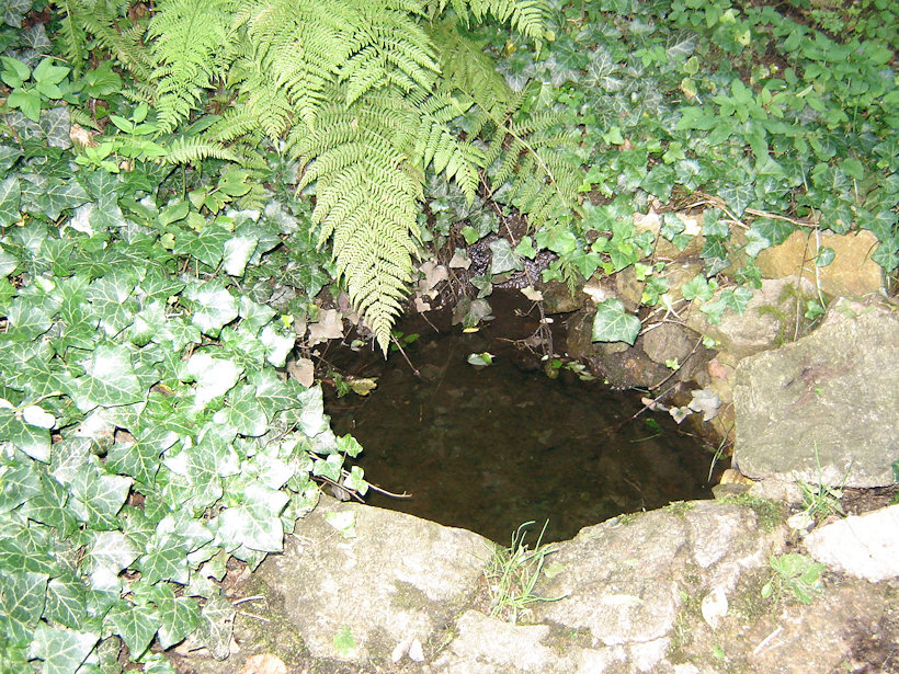 studánka Pod Lurdskou jeskyní (3881)