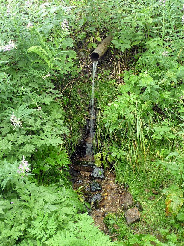 studánka Pod Perlou (3883)