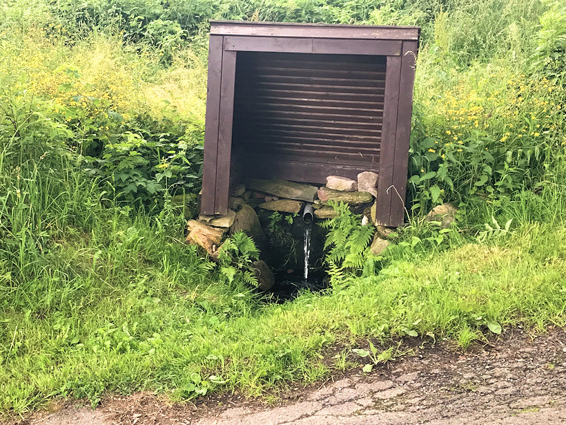 studánka Na Prízlově kopci (3885)
