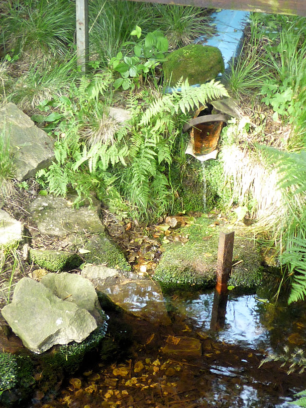 studánka Pod kapličkou (3893)