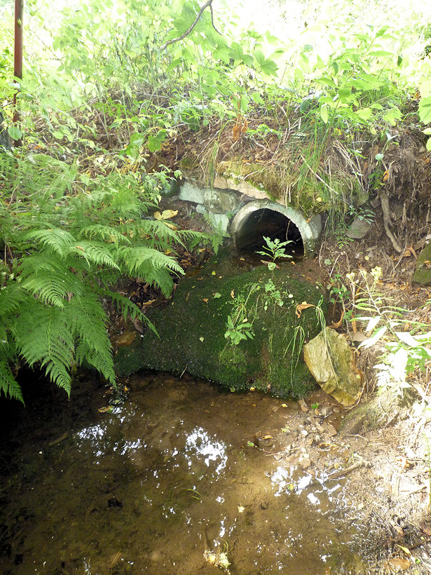 studánka Pod hájovnou (3895)