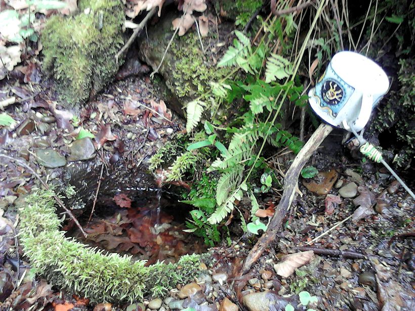 studánka Čtyřlístek (3908)