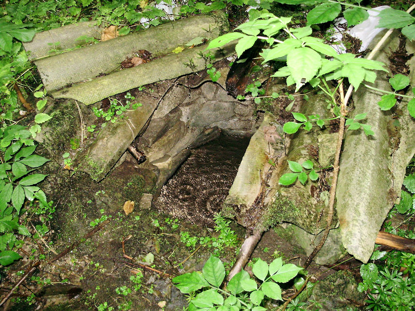 studánka Na potokách (3912)