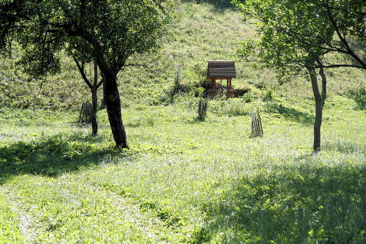 Studna Velká Stanovnice (3925)