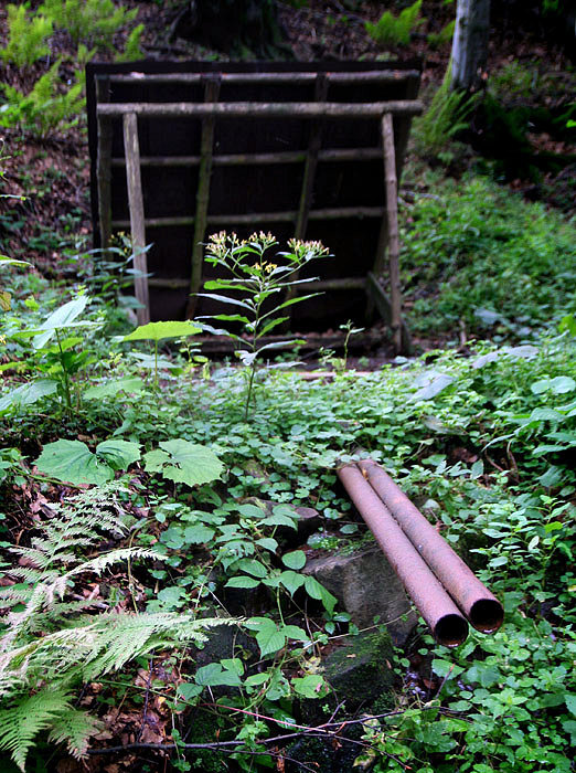 studánka Na Trojačce (3931)