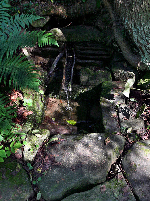 Vlastina studánka III (3937)
