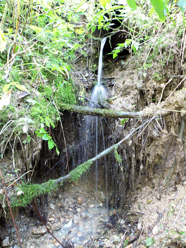 prameniště Pod Končinami (3964)