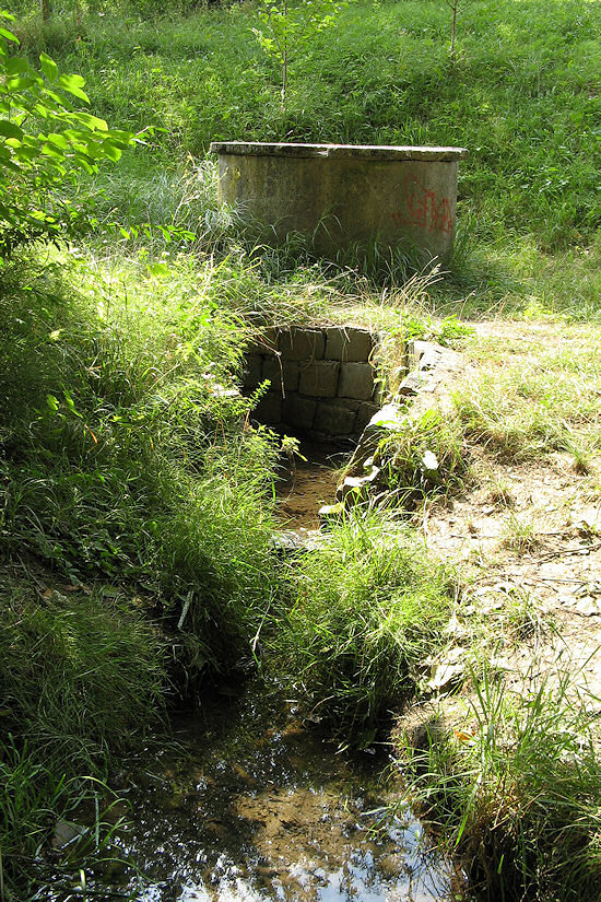 Studánka ve Žlibku (3970)
