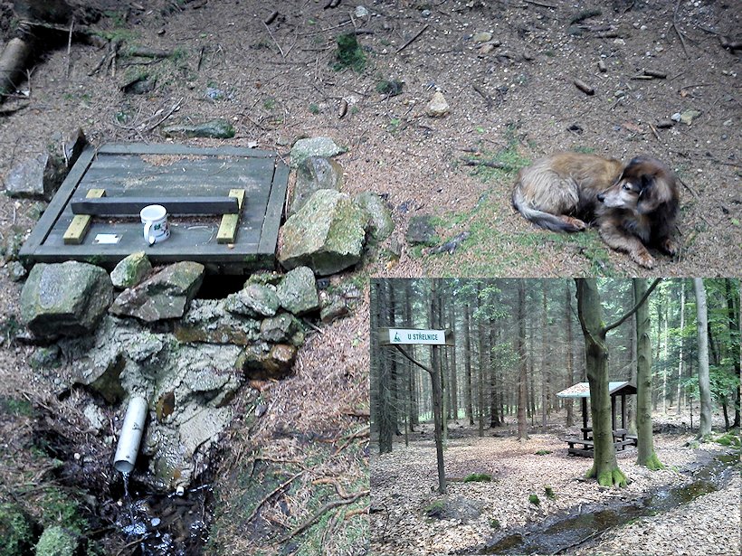studánka U střelnice (3979)