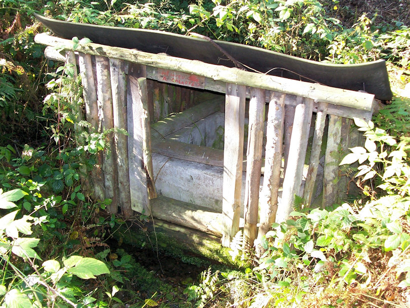 studánka Na mýtině (3998)