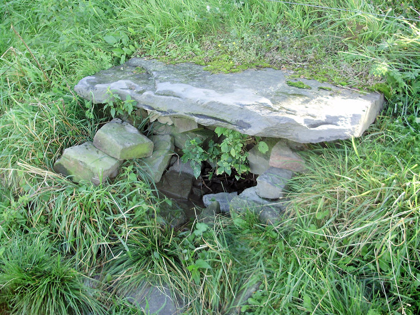 studánka Na mezi (4005)
