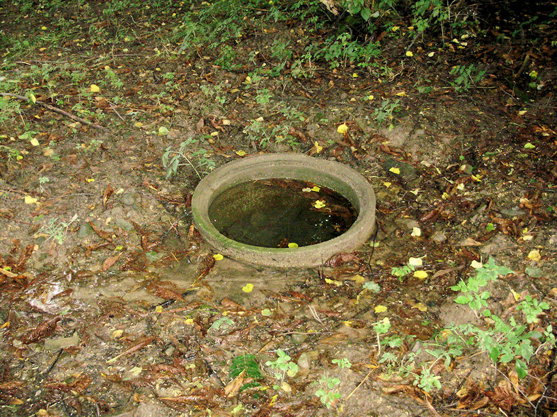 studánka U jezírka (4020)
