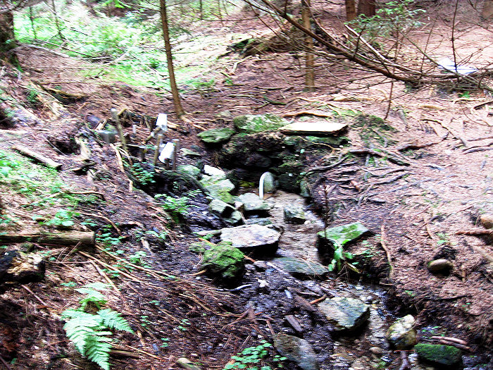 Váňova studánka (4038)