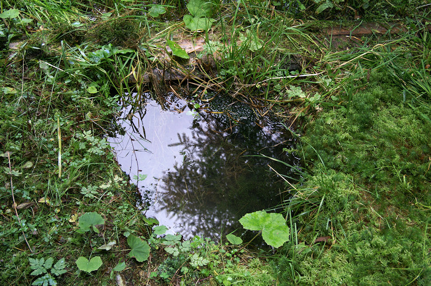 Tobolova studánka (4045)