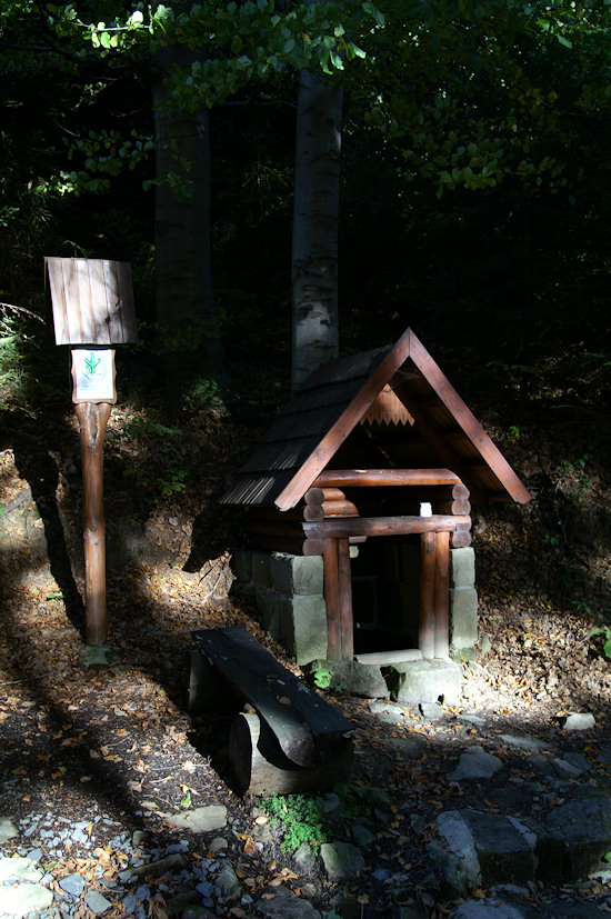 studánka Heryanka (4050)