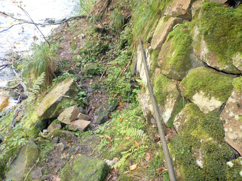 studánka U kamaráda (4059)