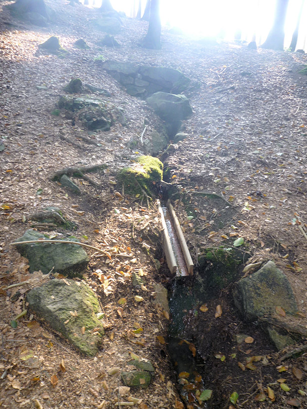 Studánka Lesácká (4060)