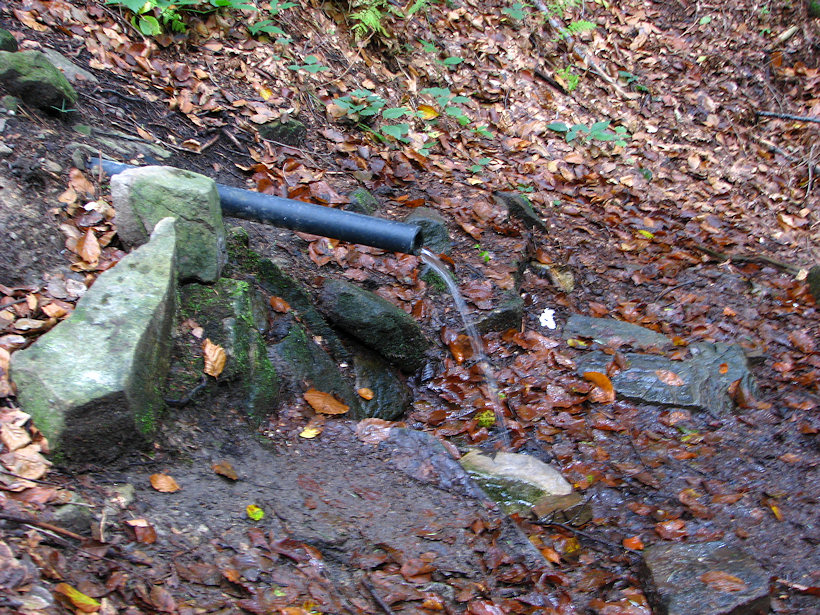 studánka Pod Jelení loukou (4078)