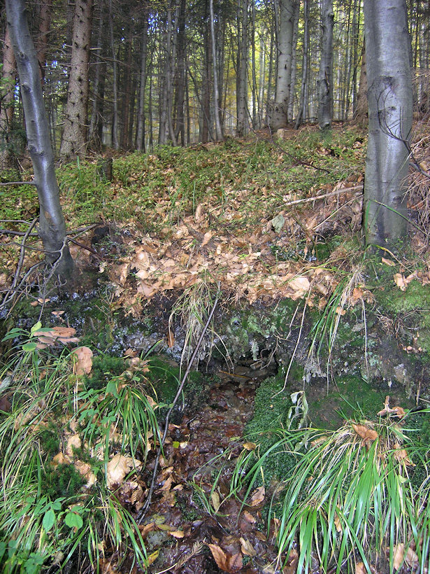 studánka Na Padové (4089)