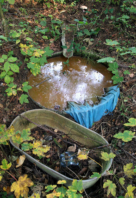 Ovčí pramen (4093)