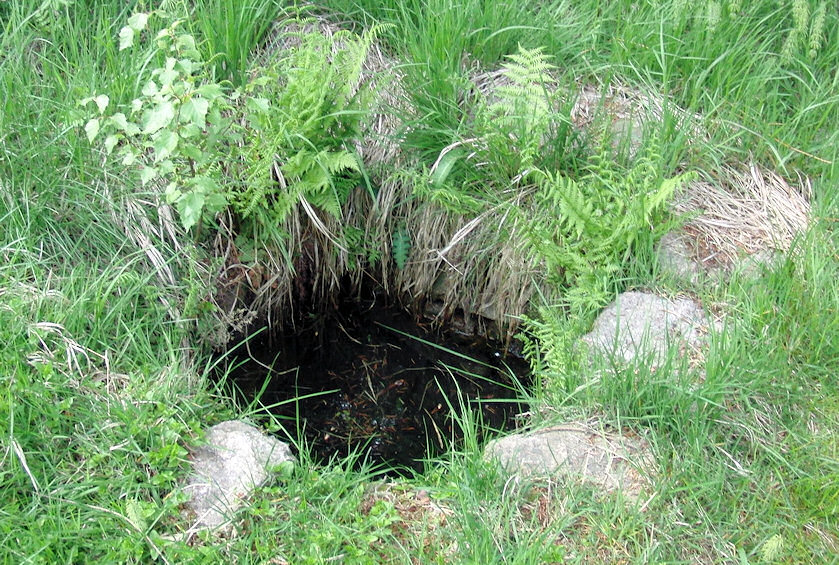 studánka bez jména (4096)