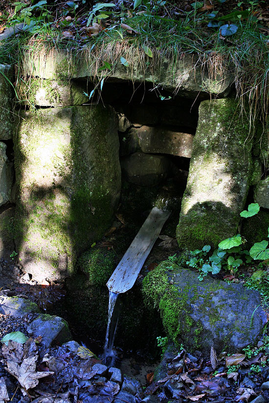 studánka Kyvňačky (4104)