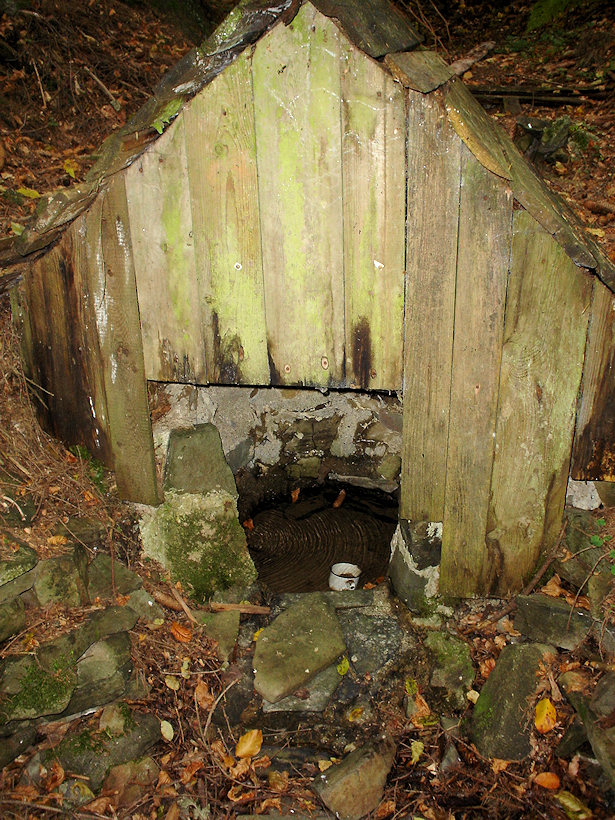 Alpenstockova studánka (4122)