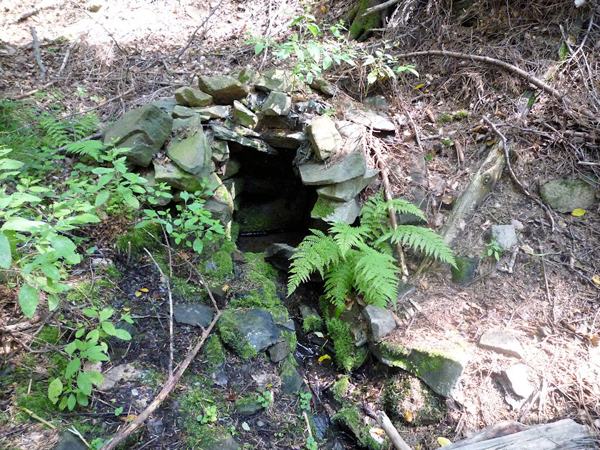 studánka U sv. Antoníčka (4123)