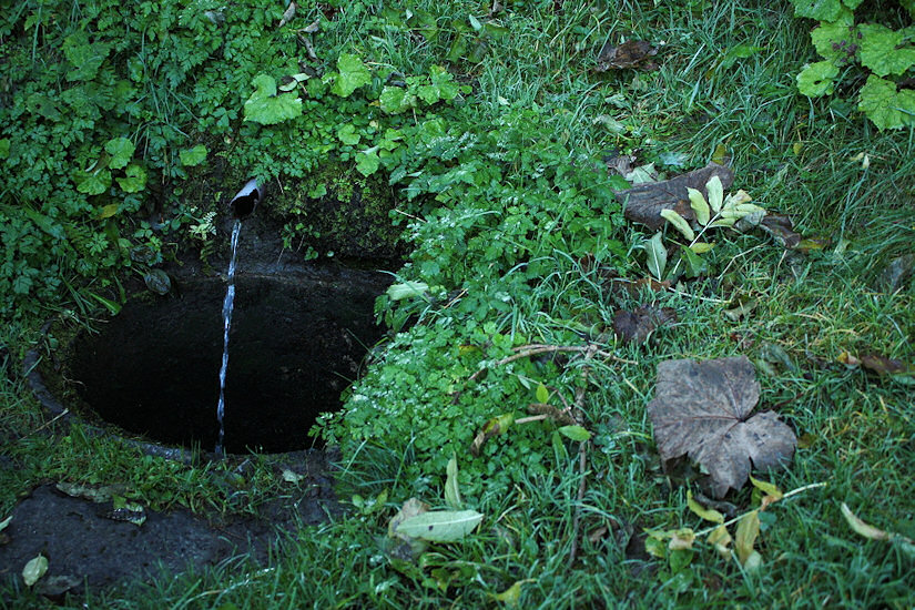 studánka Za Starou hutí I. (4126)