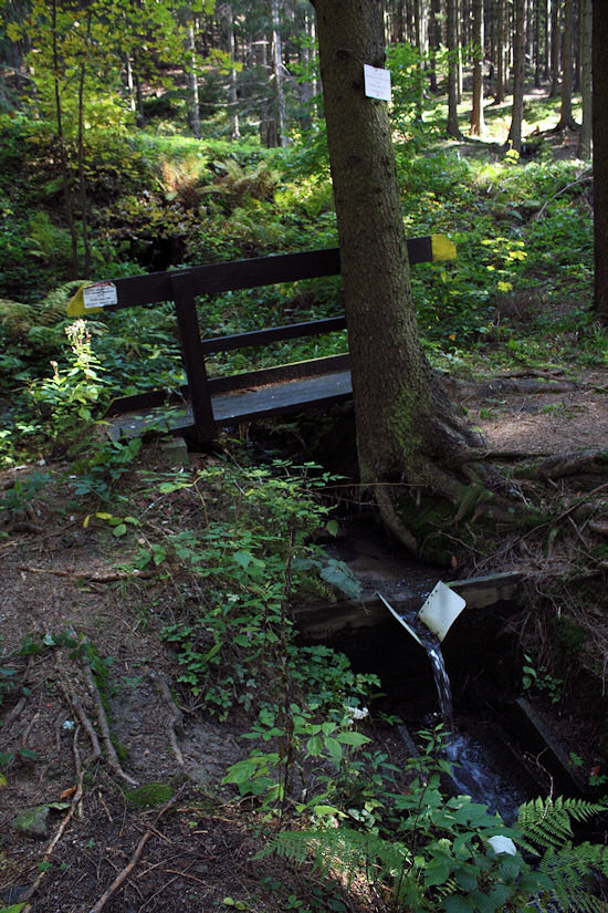 studánka Ve škaredici (4130)